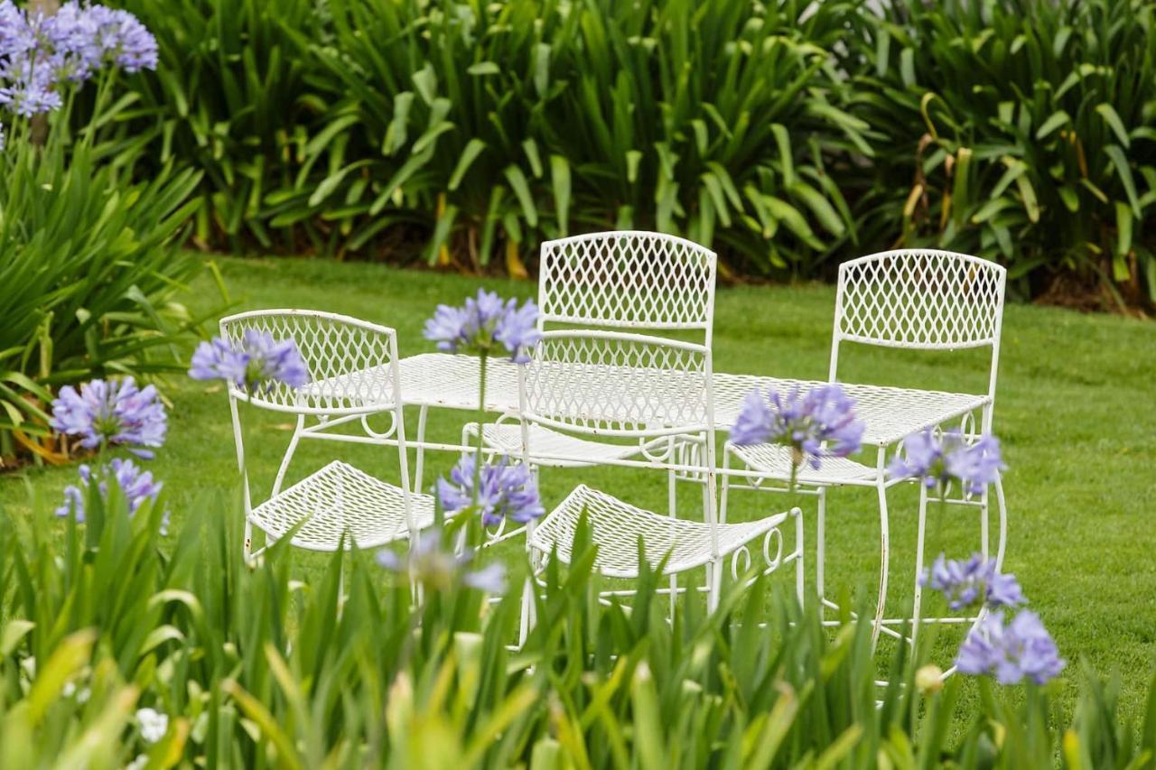 Matjiesrivier Blue Lily Retreat住宿加早餐旅馆 外观 照片