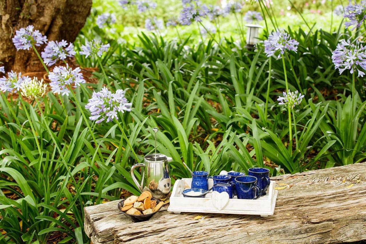 Matjiesrivier Blue Lily Retreat住宿加早餐旅馆 外观 照片