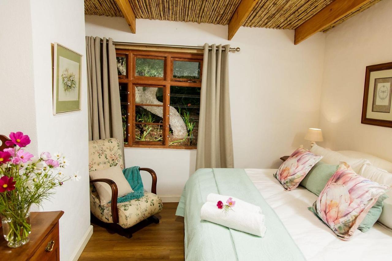 Matjiesrivier Blue Lily Retreat住宿加早餐旅馆 外观 照片
