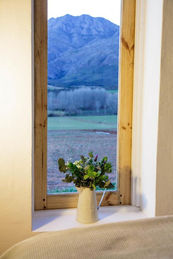 Matjiesrivier Blue Lily Retreat住宿加早餐旅馆 外观 照片